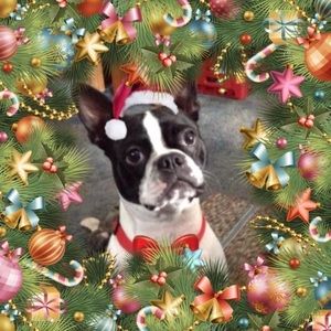 Meet your Posher, Connie